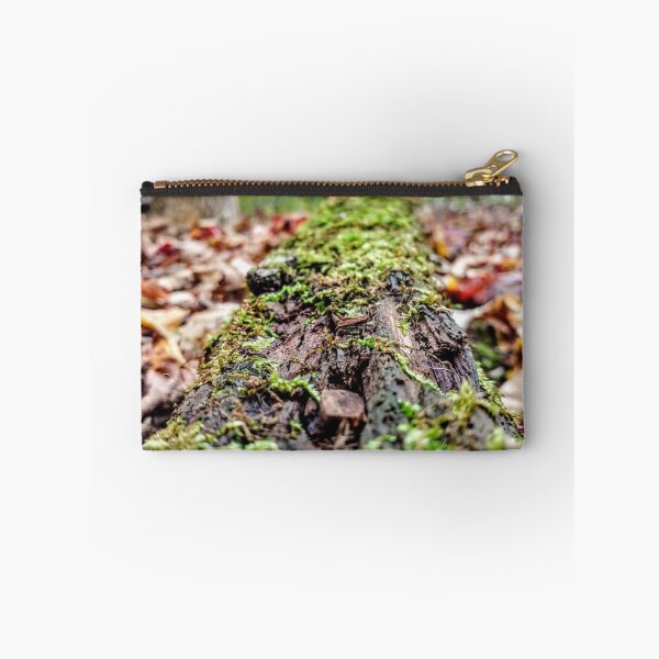 Aperçu de l'œuvre bûche de décomposition créée et vendue par mattpetrey.