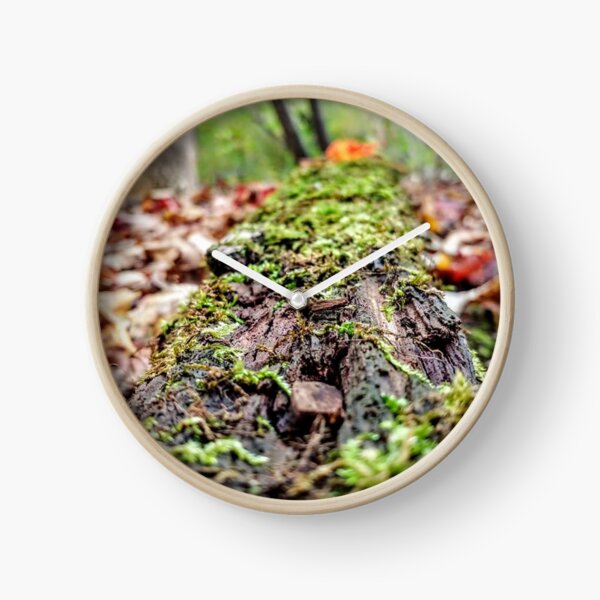 mossy rotting log Clock