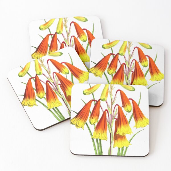 Item preview, Flower Blanfordia Princeps designed and sold by YaelleDark.