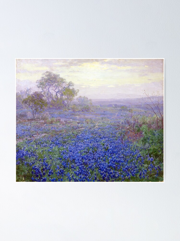 Julian Onderdonk A Cloudy Day Bluebonnets Poster By Pdgraphics Redbubble