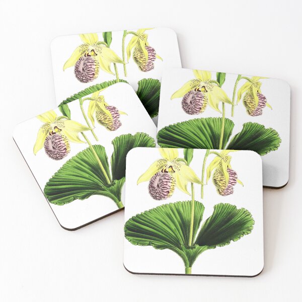 Item preview, Asian Orchid designed and sold by YaelleDark.