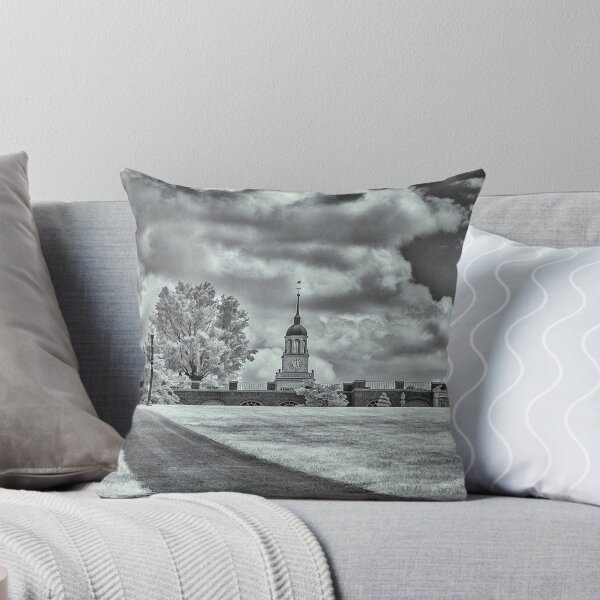 Item preview, Bucknell University designed and sold by mkurec.