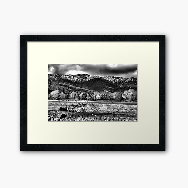 White Face Ranching Framed Art Print