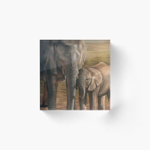 Elephant and Calf Acrylic Block