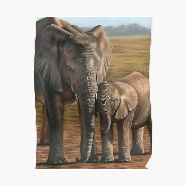 Elephant and Calf Poster