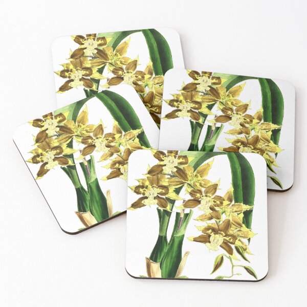 Artikelvorschau, Orchidee Odontoglossum Tripudians entworfen und verkauft von YaelleDark.