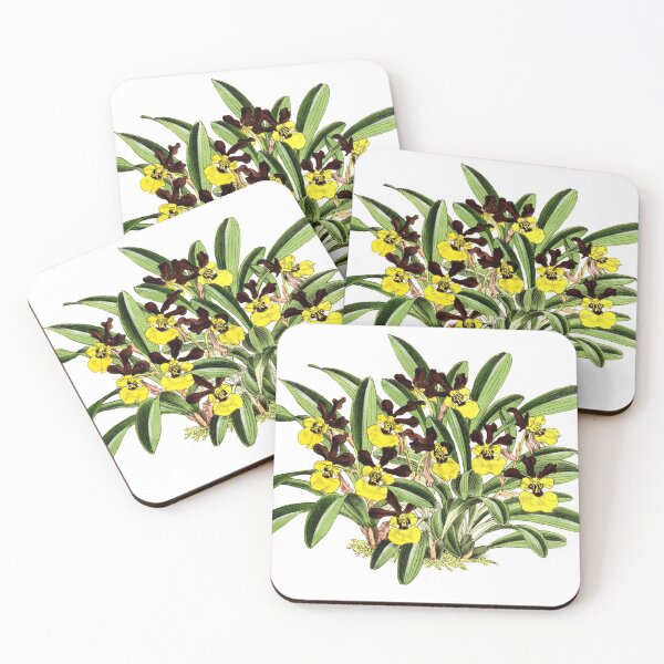 Artikelvorschau, Orchidee Kresus entworfen und verkauft von YaelleDark.