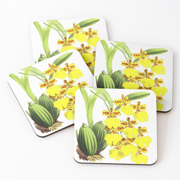 Artikelvorschau, Orchidee von Rio de Janiero entworfen und verkauft von YaelleDark.