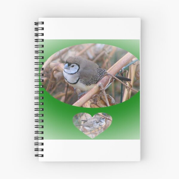 Item preview, Birds, a cute doublebar finch from Australia designed and sold by carolynannwatso.