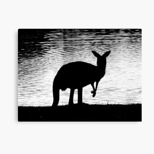 Little Roo'd Canvas Print