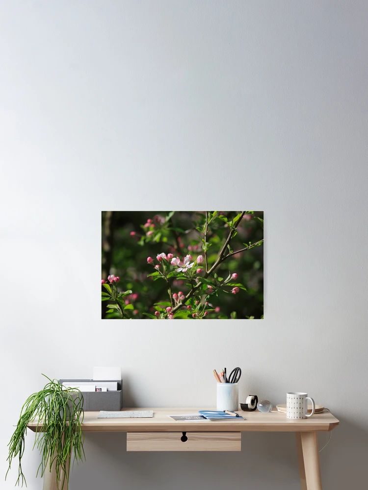 Thumbnail 2 of 3, Poster, Spring Has Sprung designed and sold by Ronda Sliter.