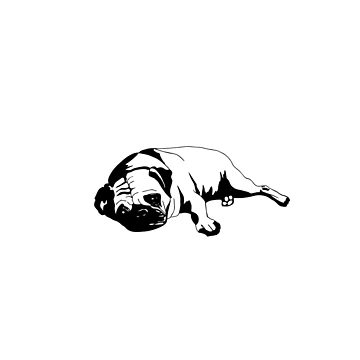 Artwork thumbnail, Pug by euglenii