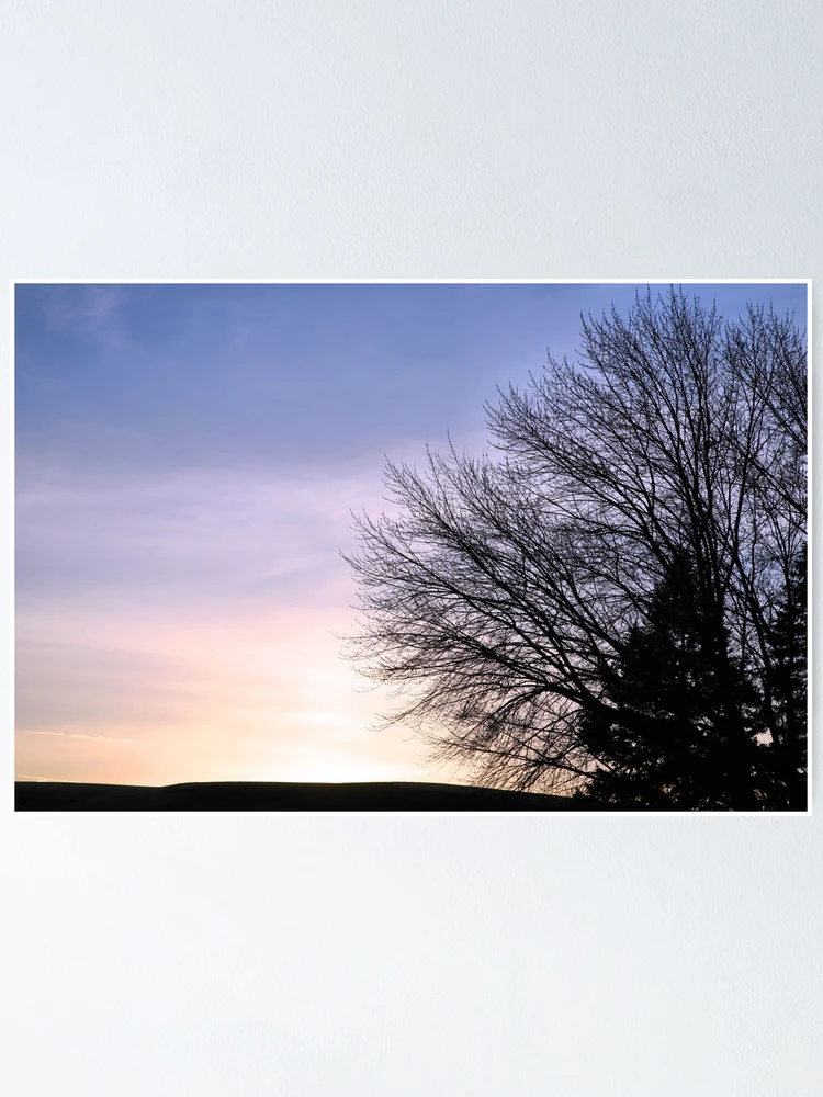 Thumbnail 1 of 3, Poster, Winter SunSet designed and sold by Ronda Sliter.