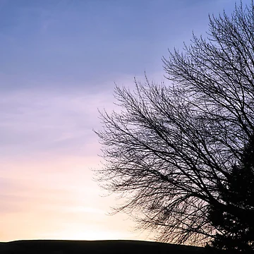 Artwork thumbnail, Winter SunSet by Ronda Sliter
