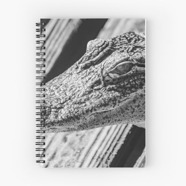 Item preview, black and white alligator designed and sold by KensLensDesigns.