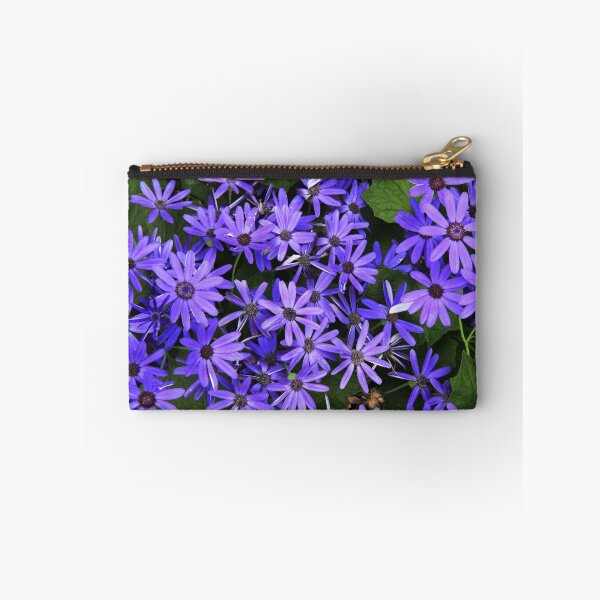 Item preview, Asters designed and sold by Thaddeus Zajdowicz.