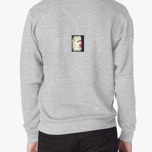 STAN4 Pullover Sweatshirt