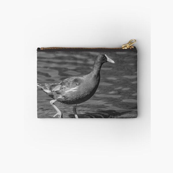 Item preview, black and white Common gallinule designed and sold by KensLensDesigns.