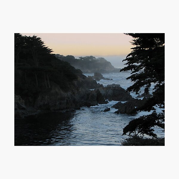 View of Point Lobos Photographic Print