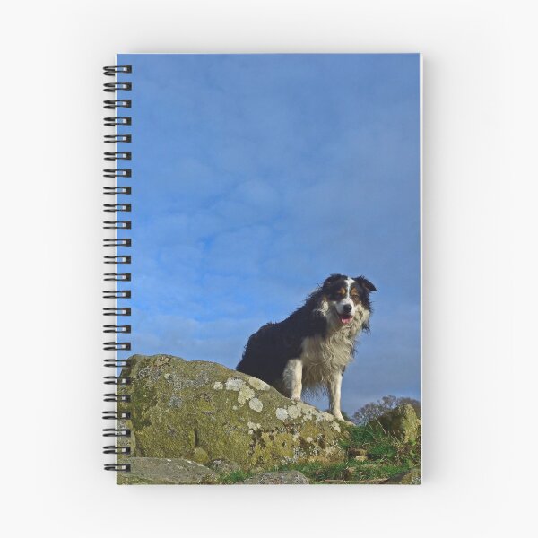 Item preview, The Sky's The Limit. designed and sold by Michael Haslam.