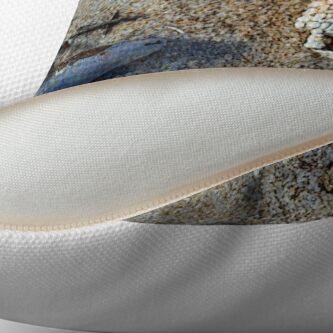 Alternate view of Carrickalinga Starfish Throw Pillow
