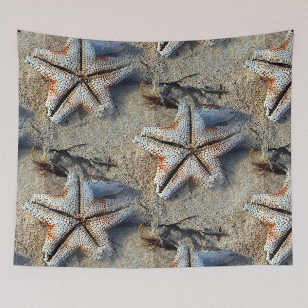 Item preview, Carrickalinga Starfish designed and sold by TripodDogShop.