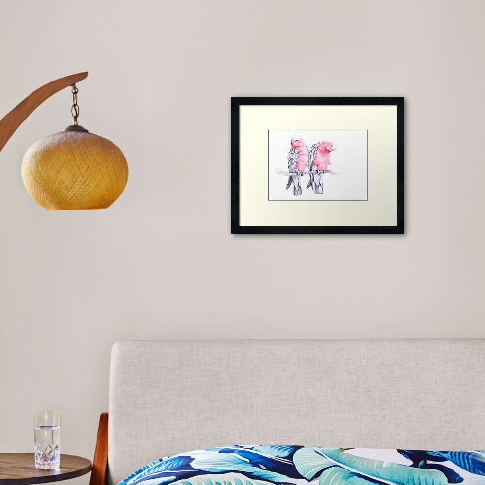 Galahs Framed Art Print