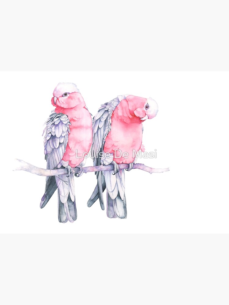 Galahs by Louisedemasi