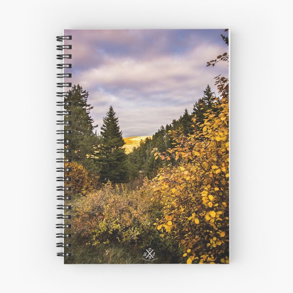 Aperçu de l'œuvre Une journée d'automne dans le Montana créée et vendue par Daniel  Beveridge.