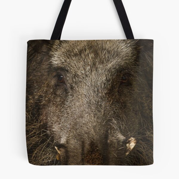 Item preview, Boar designed and sold by BiceksPhoto.