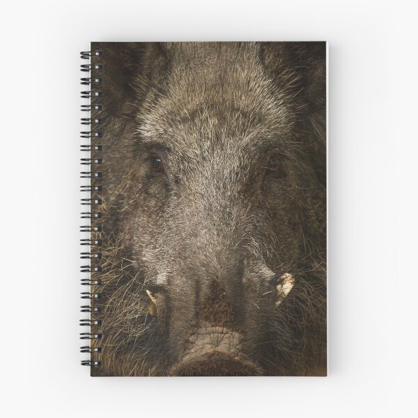 Item preview, Boar designed and sold by BiceksPhoto.