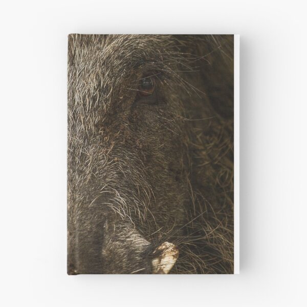 Item preview, Boar designed and sold by BiceksPhoto.