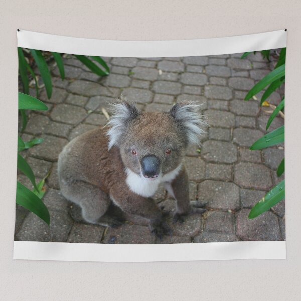 Item preview, Look into my eyes designed and sold by FranWest.