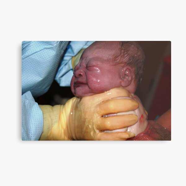 Birthing Metal Print