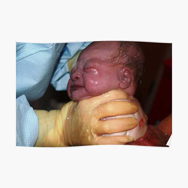 Birthing Poster
