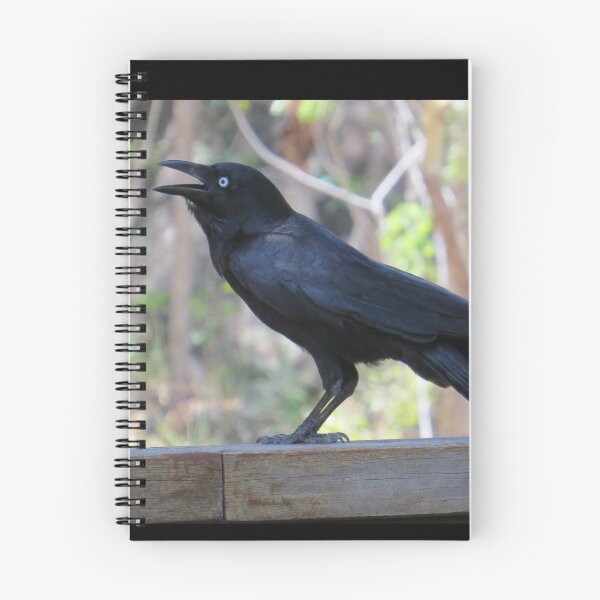 Item preview, Australian Raven designed and sold by Genevieve Hanlon Art and Photography.