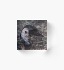Emu 2 Acrylic Block
