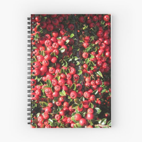 Item preview, Cotoneaster Berries designed and sold by lezvee.