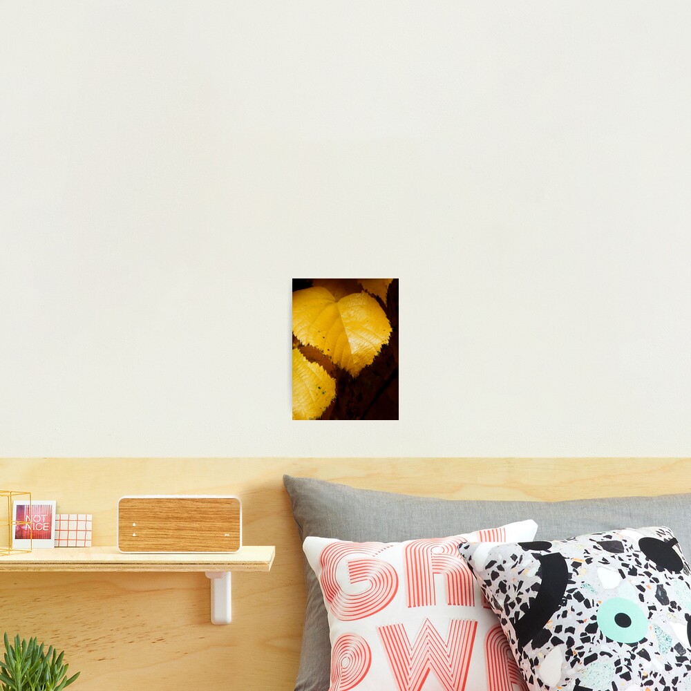Item preview, Photographic Print designed and sold by thinkingoutloud.