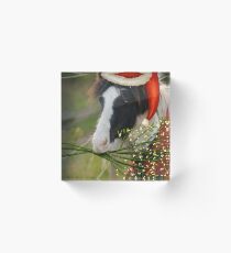 Christmas Eggsy Pony Acrylic Block