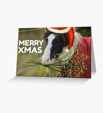 Christmas Eggsy Pony Greeting Card