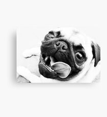 Hot Dog Canvas Print
