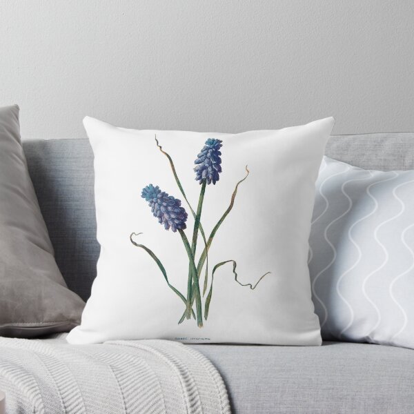 Item preview, Grape Hyacinth Print, Original Flower Print, Botanical Antique, Antique print, Grape Hyacinth Print Wall art, Grape Hyacinth Print Flower, Grape Hyacinth Prints designed and sold by Studio66Designs.