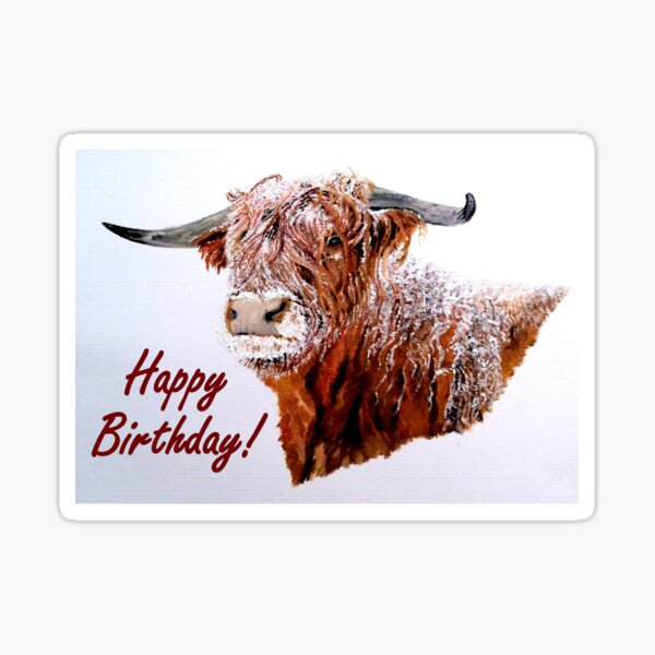 Snowy Highland Cow Birthday Card Sticker
