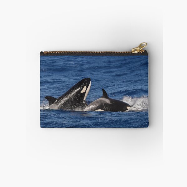 Item preview, Killer whales Playing in the Swell designed and sold by jodielowe88.