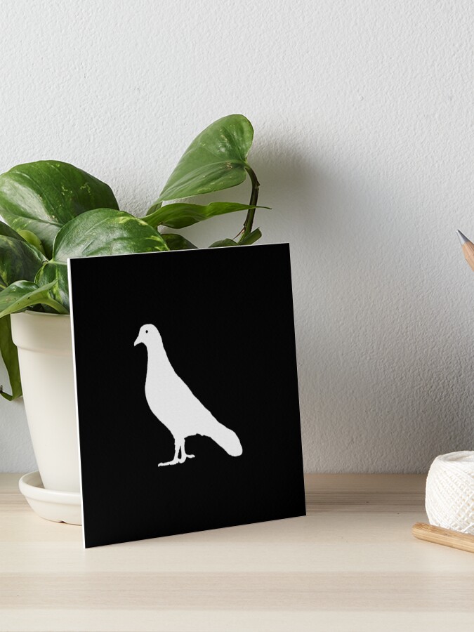 Lonely White Pigeon Art Board Print
