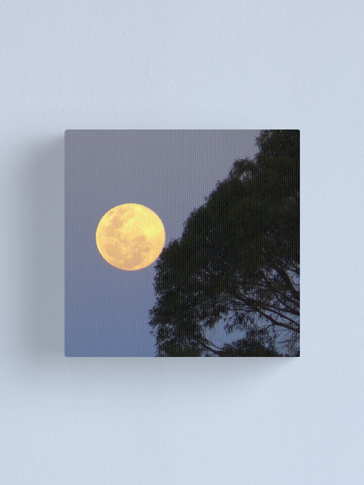 Alternate view of Moon in Scorpio. Canvas Print