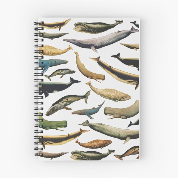Item preview, whales designed and sold by franciscomff.