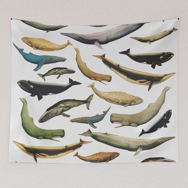 Item preview, whales designed and sold by franciscomff.