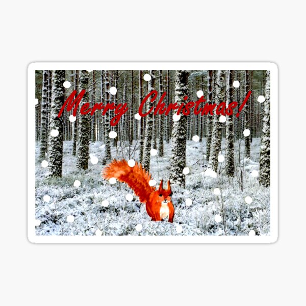 Squirrel in Snow Christmas Card Sticker